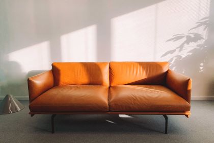 The Best Mid-Century Modern Sofas on Wayfair